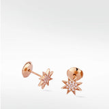 Star Diamond PavŽ Stud Earrings in 14K Gold - Lark and Berry