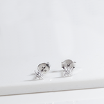 Starlight Elegance Studs