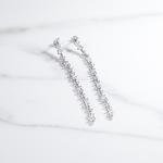 Silver Elegance Drop Earrings 