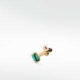 The Colourful Connoisseur