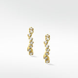 Night Wanderer Gold Hoop Earrings