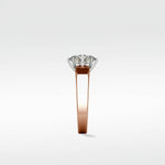 Willow Engagement Ring - Lark and Berry